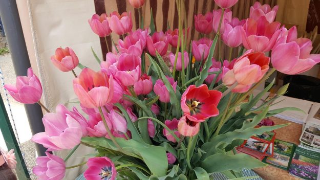 Vittoria-Vitaloni-Flowers