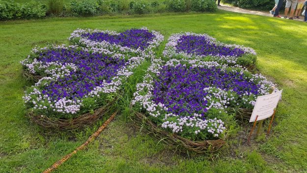 Vittoria-Vitaloni-Flowers