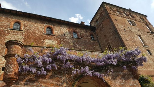 Vittoria-Vitaloni-Flowers