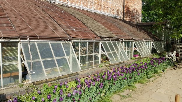 Vittoria-Vitaloni-Flowers