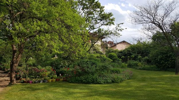 Vittoria-Vitaloni-Flowers