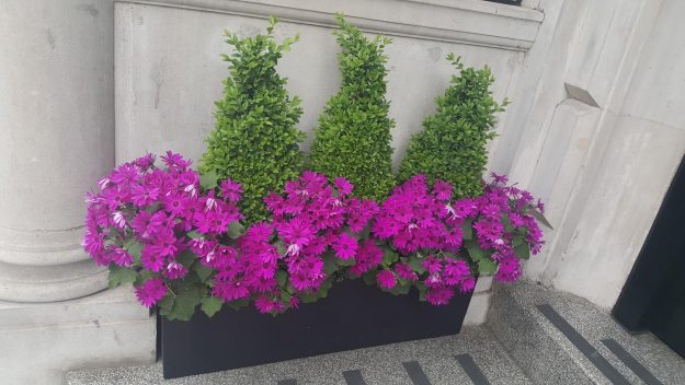 Vittoria-Vitaloni-Flowers