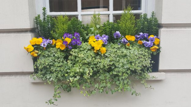 Vittoria-Vitaloni-Flowers