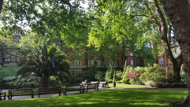 Vittoria-Vitaloni-Flowers