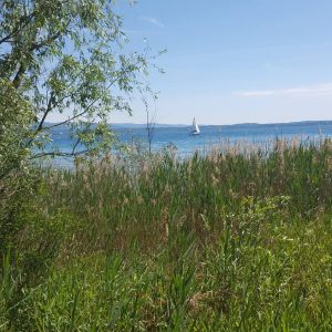 Sirmione - Vittoria Vitalone