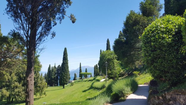 Vittoria-Vitaloni-Flowers