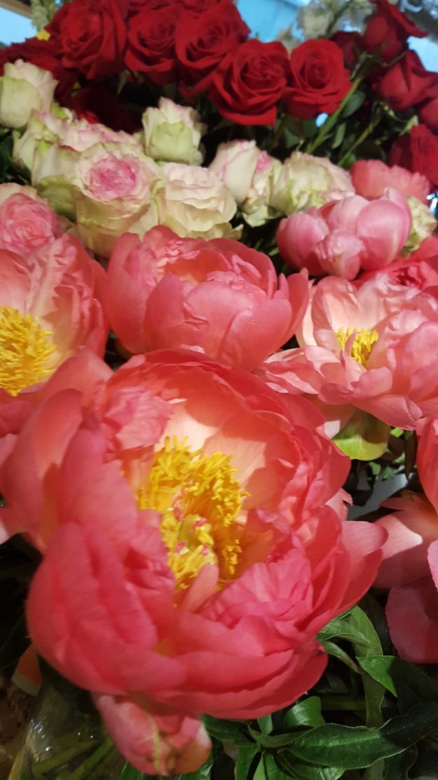 Vittoria-Vitaloni-Flowers