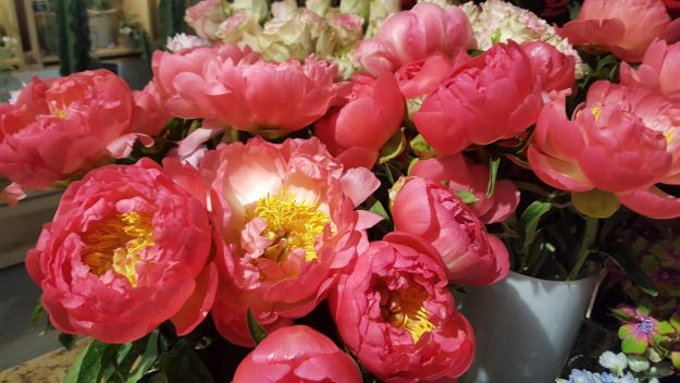 Vittoria-Vitaloni-Flowers