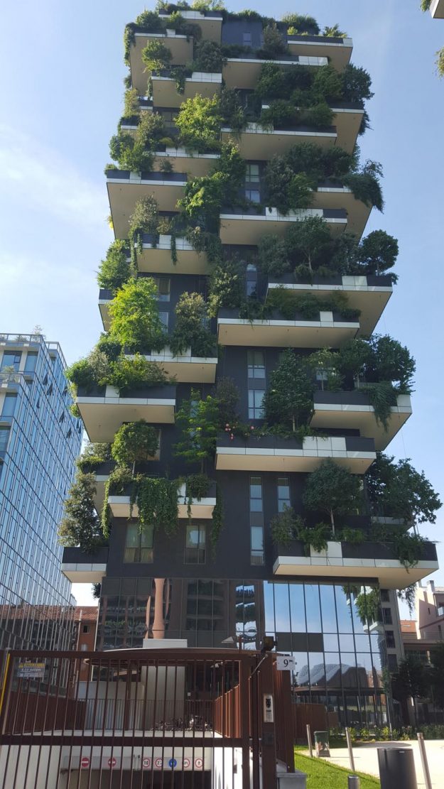 Vittoria-Vitaloni-Flowers