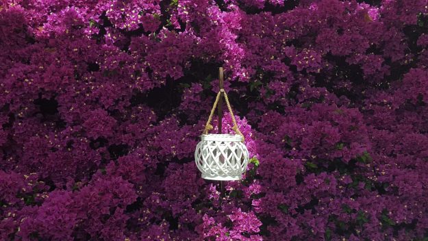 Vittoria-Vitaloni-Flowers