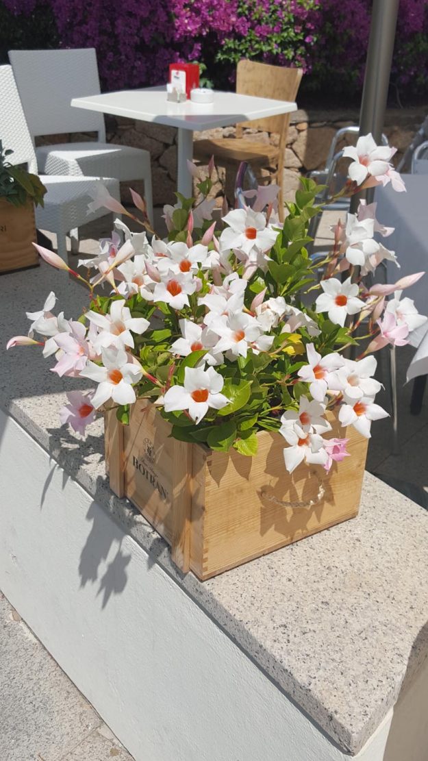 Vittoria-Vitaloni-Flowers