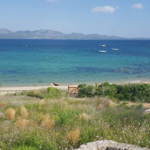 Sardegna - Vittoria Vitalone