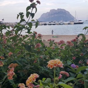 Sardegna - Vittoria Vitalone