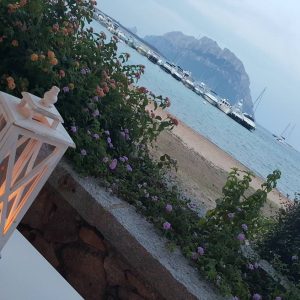 Sardegna - Vittoria Vitalone