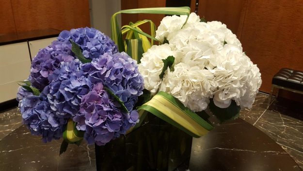 Vittoria-Vitaloni-Flowers