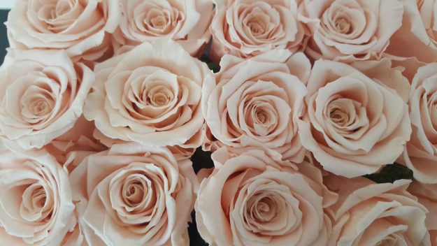 Vittoria-Vitaloni-Flowers