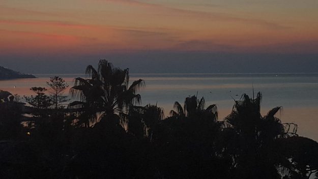 Vittoria-Vitaloni-Flowers