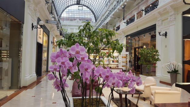 Vittoria-Vitaloni-Flowers