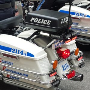 Vittoria-Vitaloni-Personal-Blog