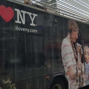 Vittoria-Vitaloni-Personal-Blog