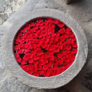 Vittoria-Vitaloni-Personal-Blog