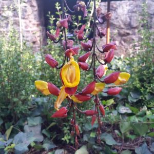 Vittoria-Vitaloni-Personal-Blog