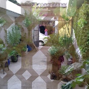 Vittoria-Vitaloni-Personal-Blog