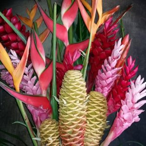 Vittoria-Vitaloni-Personal-Blog