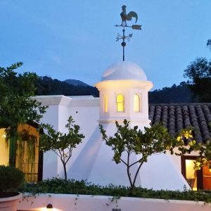 Vittoria-Vitaloni-Personal-Blog