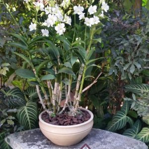 Vittoria-Vitaloni-Personal-Blog