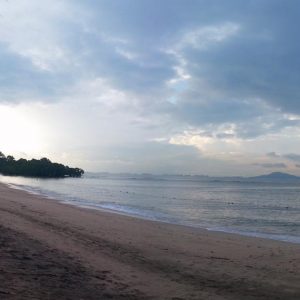 Vittoria-Vitaloni-Personal-Blog