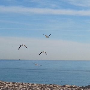 Vittoria-Vitaloni-Personal-Blog