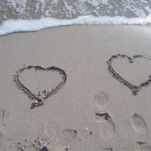 Vittoria-Vitaloni-Personal-Blog