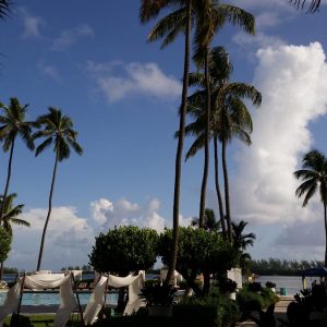 Vittoria-Vitaloni-Personal-Blog