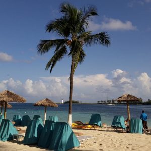 Vittoria-Vitaloni-Personal-Blog