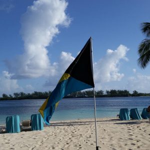 Vittoria-Vitaloni-Personal-Blog