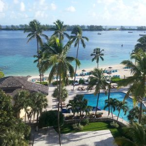 Vittoria-Vitaloni-Personal-Blog