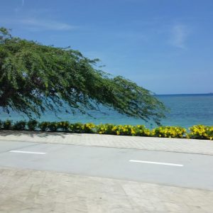 Vittoria-Vitaloni-Personal-Blog