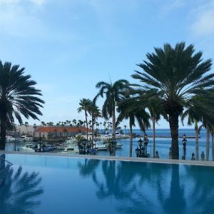 Vittoria-Vitaloni-Personal-Blog