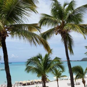 Vittoria-Vitaloni-Personal-Blog