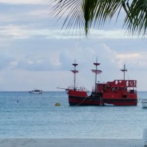 Vittoria-Vitaloni-Personal-Blog