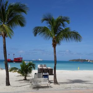 Vittoria-Vitaloni-Personal-Blog