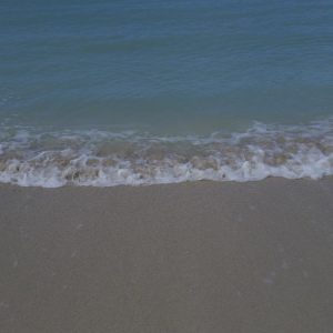 Vittoria-Vitaloni-Personal-Blog