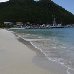 Vittoria-Vitaloni-Personal-Blog