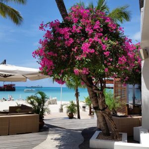 Vittoria-Vitaloni-Personal-Blog