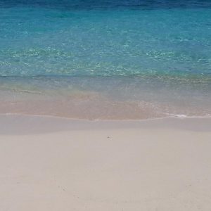 Vittoria-Vitaloni-Personal-Blog