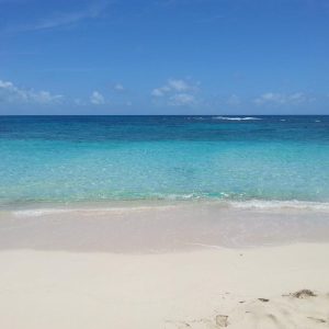 Vittoria-Vitaloni-Personal-Blog