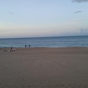 Vittoria-Vitaloni-Personal-Blog