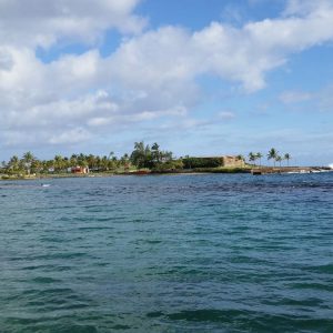 Vittoria-Vitaloni-Personal-Blog