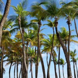 Vittoria-Vitaloni-Personal-Blog